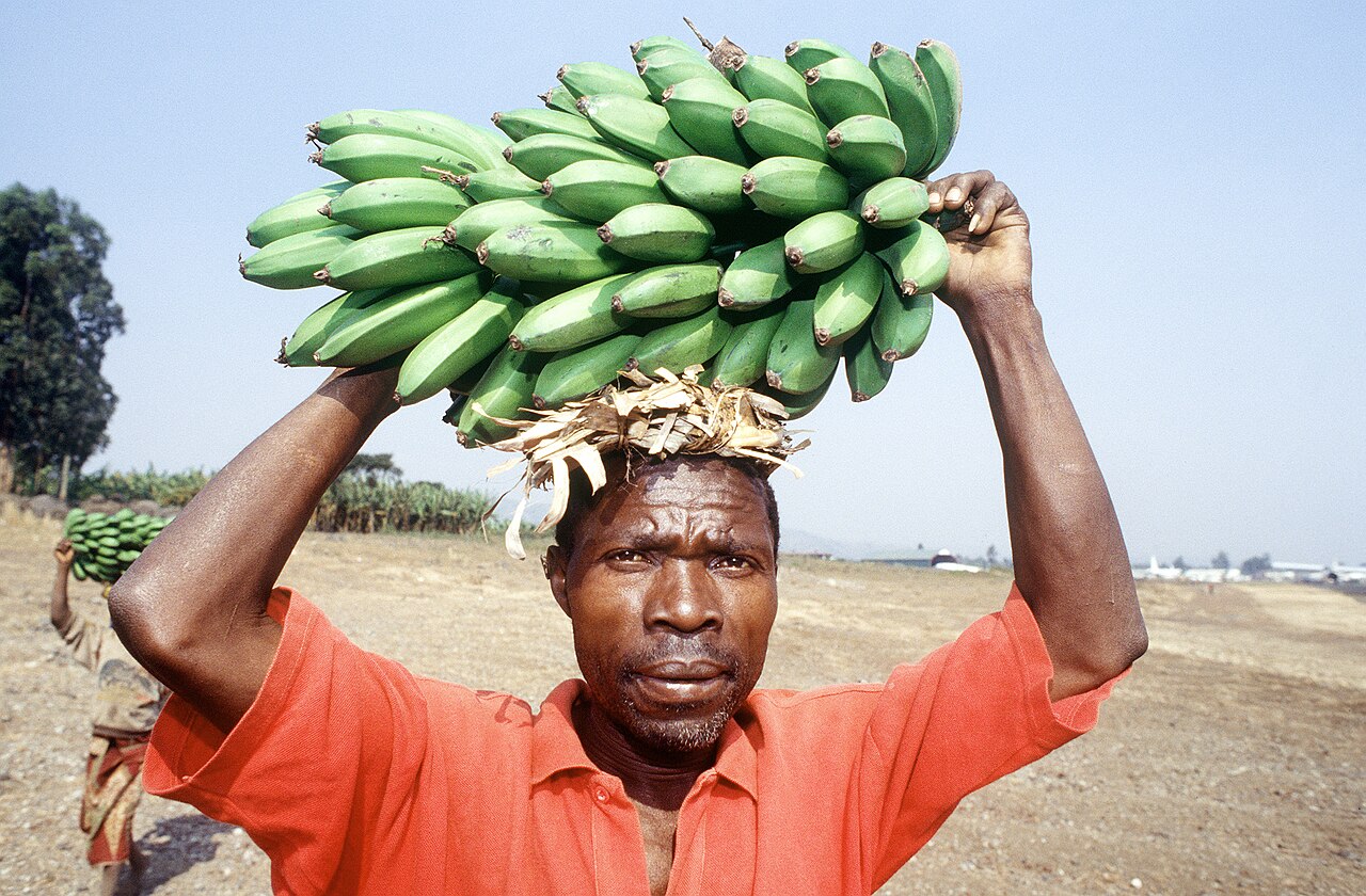 Rwandan Civil War