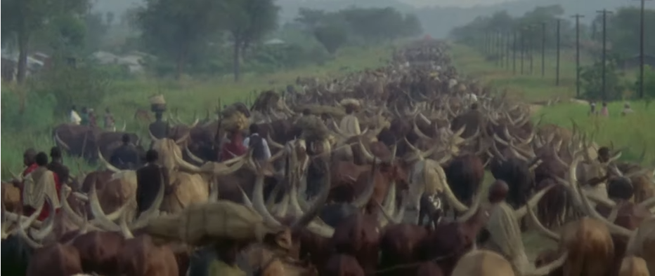 Rwandan Revolution